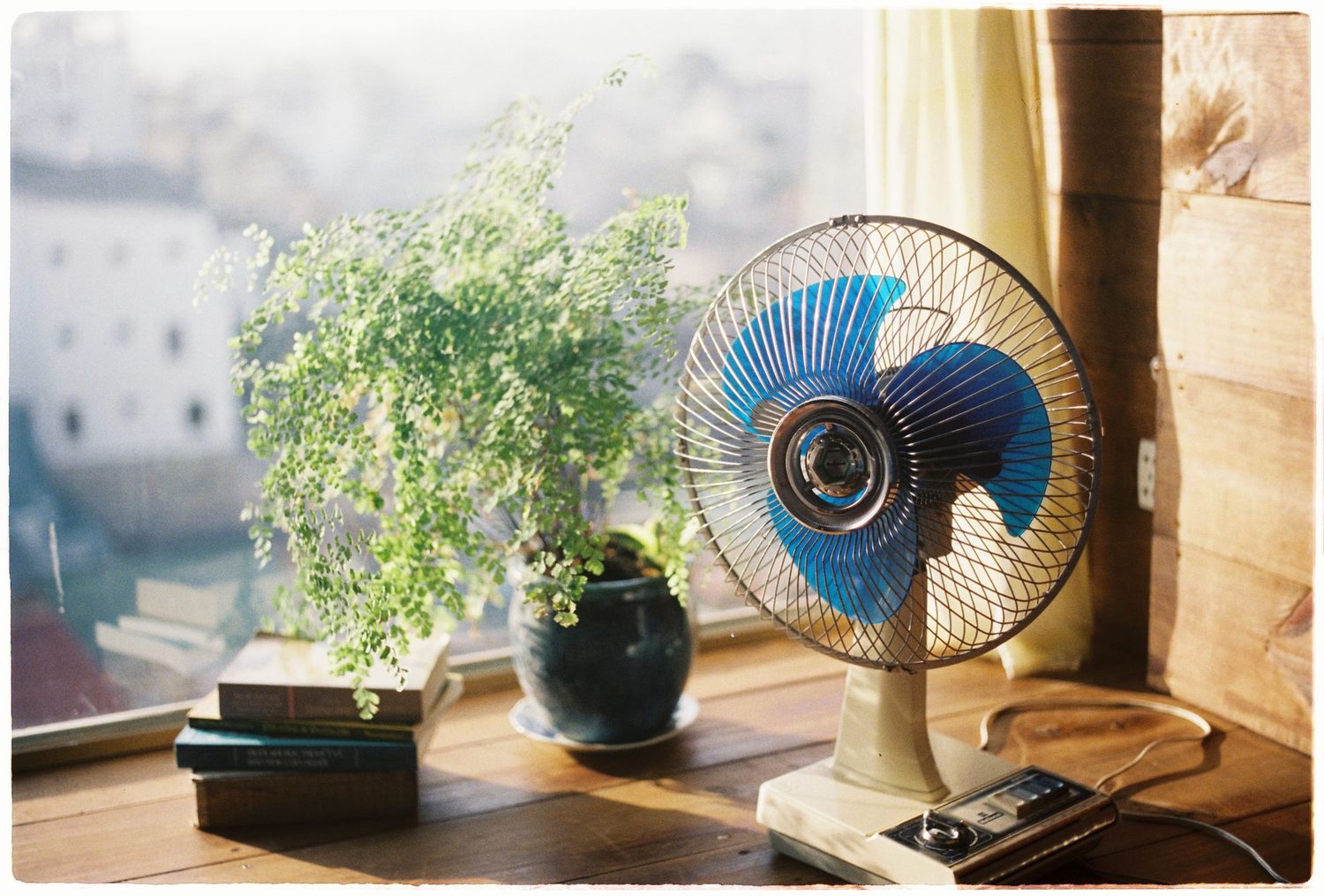 Ventilador de mesa com hélice azul ao lado de uma janela, sobre uma bancada de madeira com um vaso de planta e livros