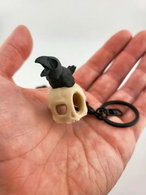 Modelo 3D skully crow