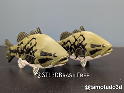 Preview do modelo 3D exclusive flexi factory squid and pirate squid for members only