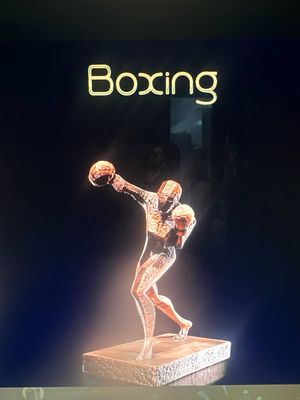 Modelo 3D Boxing Boxe [OS 5FB0279753BC]