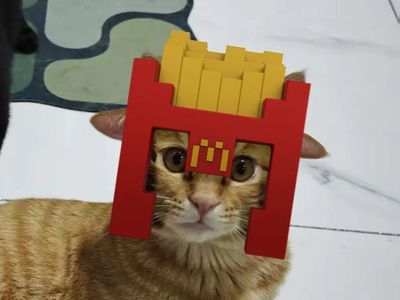 Modelo 3D McDonald s Fries Helmet