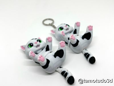 Preview do modelo 3D FLEXI GATTO