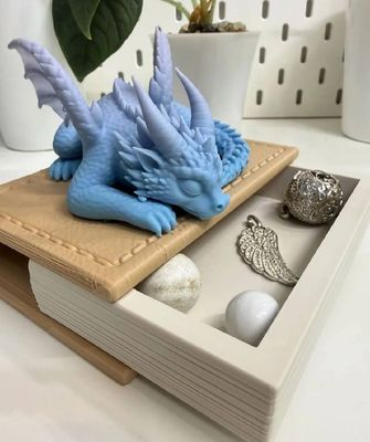 Preview do modelo 3D Dragon Secret Book