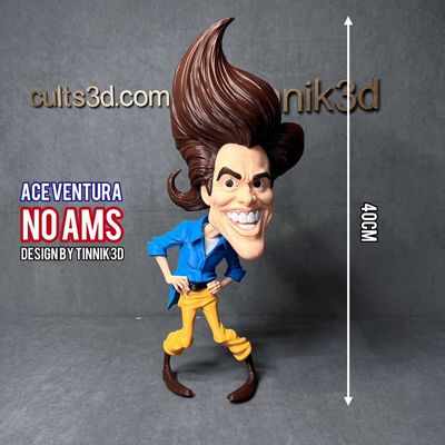Modelo 3D ace ventura BAMBU