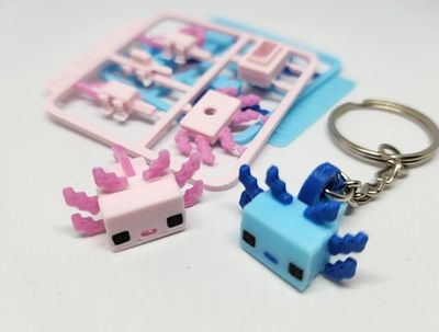 Preview do modelo 3D card axolotl